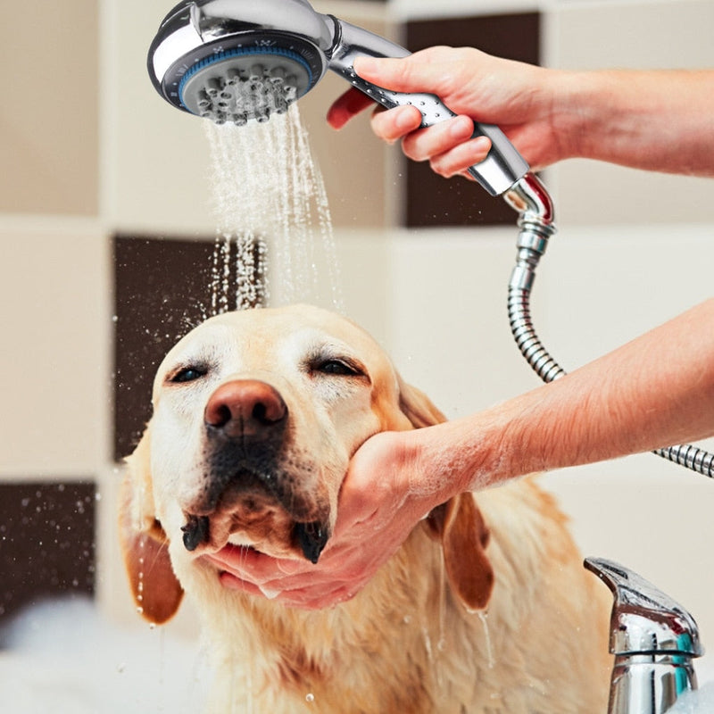 Pommeau de Douche Economique 7 en 1